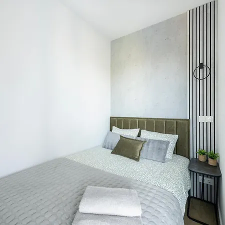 Modern Vepriai Street Apartment