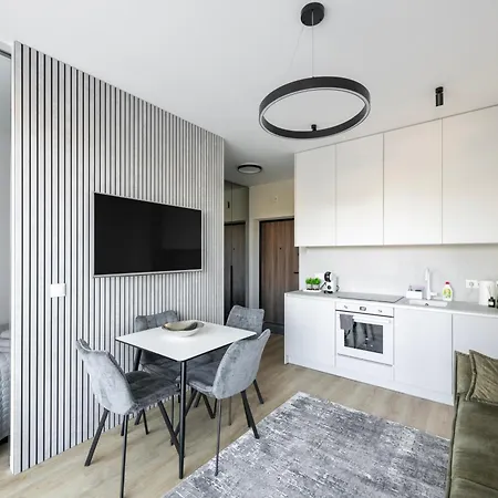 Apartman Modern Vepriai Street Vilnius